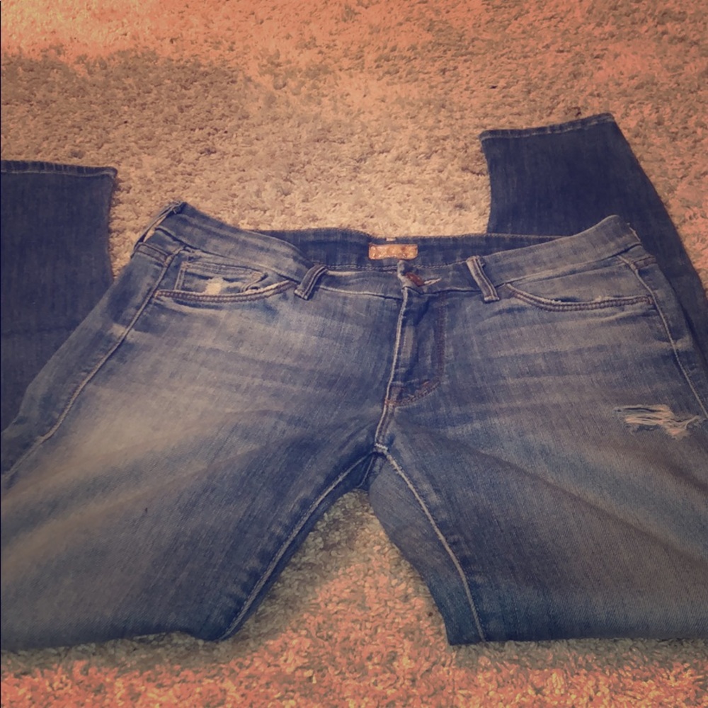 Mother the Looker - Shake Well skinny jean